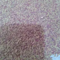 کود کمپوست قارچ بهترین بذر جوانه