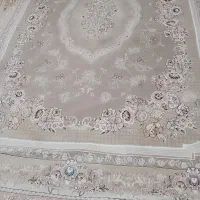دوتا ۹ متری با ۱۸ متر موکت در حد نو ۱۴ میلیون