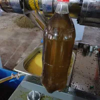 روغن دانه منداب