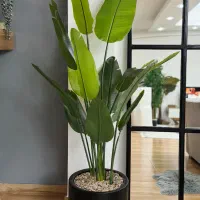 فروش درختچه مصنوعی در فروشگاه بیژن