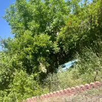 فروش-زمین-در-کردان-زعفرانیه-175متری