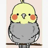 عروس هلندی پیدا شده