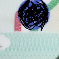 کارت شناسایی گمشده
