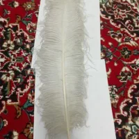 پر علامت