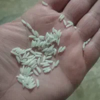 دو کیلو هاشمی درجه ی ۱