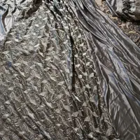 پرده نقره ای