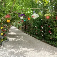 خدمات باغبانی و نگهداری از باغ و فضای سبز شما