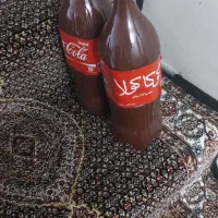 رب خانگی