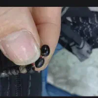 تسبی هبهاب ساسانی تک