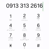 09133132616
