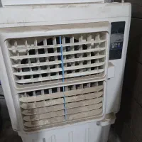 کولرابی 36هزار