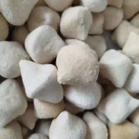 قروت خشک و نیمه خشک