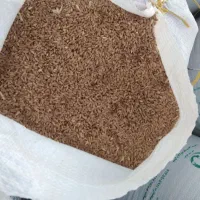 فروش گندم تمیز