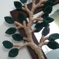 درختچه مکرومه