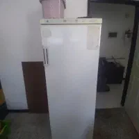 فریز ایستاده