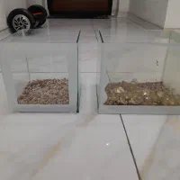 آکواریوم