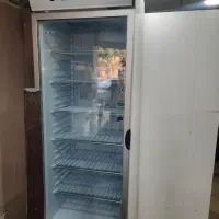 فریزر کینو