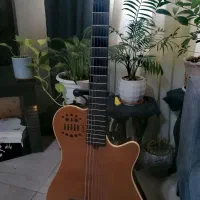 گیتار گودین godin