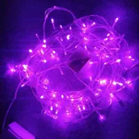 ریسه سوزنی ۱۰ متری رنگ بنفش