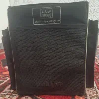 اکو دستی مار هوراند