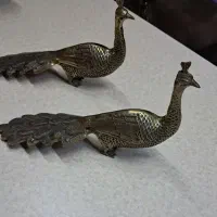 طاووس برنز