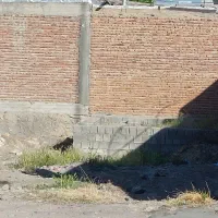 زمین مسکونی