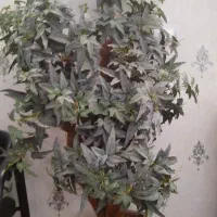 دو تا درخت مصنوعی با گلدان طرح هخامنشی