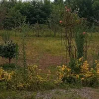 بهترین  زمین روستایی در بندر انزلی .گیلان