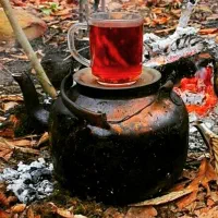 چای|خوردنی و آشامیدنی|لاهیجان, پردسر|دیوار