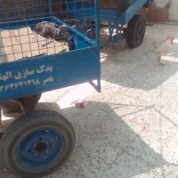 بودی