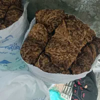برگ خشک شده گل