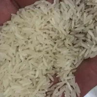 برنج محلی اصل 398