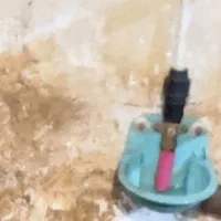 آبخوری گوسفندی اتوماتیک