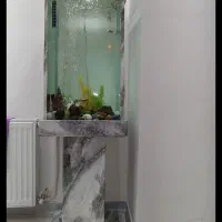 آکواریوم