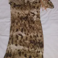 شیک وخاص