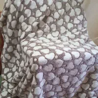 پتو شبنما