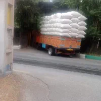 کاه ویونجه