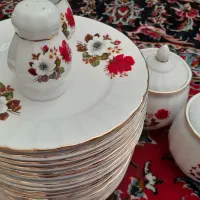 پیش دستی چینی همگام