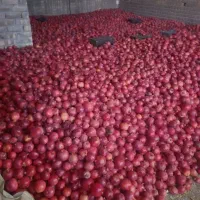 انار دونه مشکی قلعه چم