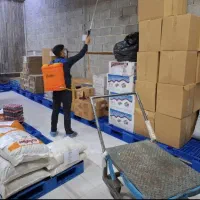 سمپاشی ساس موریانه کل حشرات تضمینی