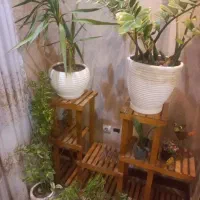 فروش استند چوبی و گل