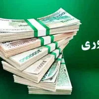 پرداخت ۷۲ ساعته پول از ما