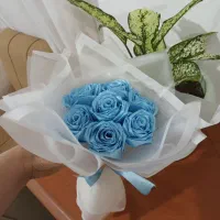 کلکسیون|کلکسیون و سرگرمی|میانه, |دیوار