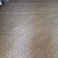 پلاز موکت
