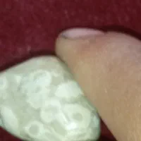 سنگ فسیل 2000ساله و...سنگ سبز