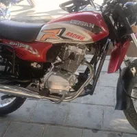 احسان شکاری فروشی