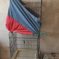 قفس