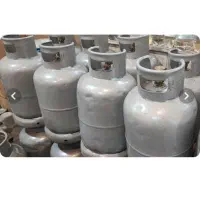 کپسول و پیکنیک پرمیشود