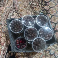خرما|خوردنی و آشامیدنی|زاهدان, |دیوار