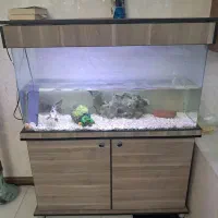 آکواریوم ۱ متری شیشه خم